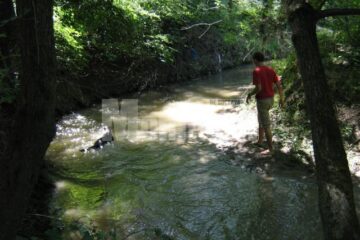 Direcția de Sănătate Publică (DSP) Suceava recomandă sucevenilor să evite scăldatul în locuri neamenjate în aceste zile caniculare