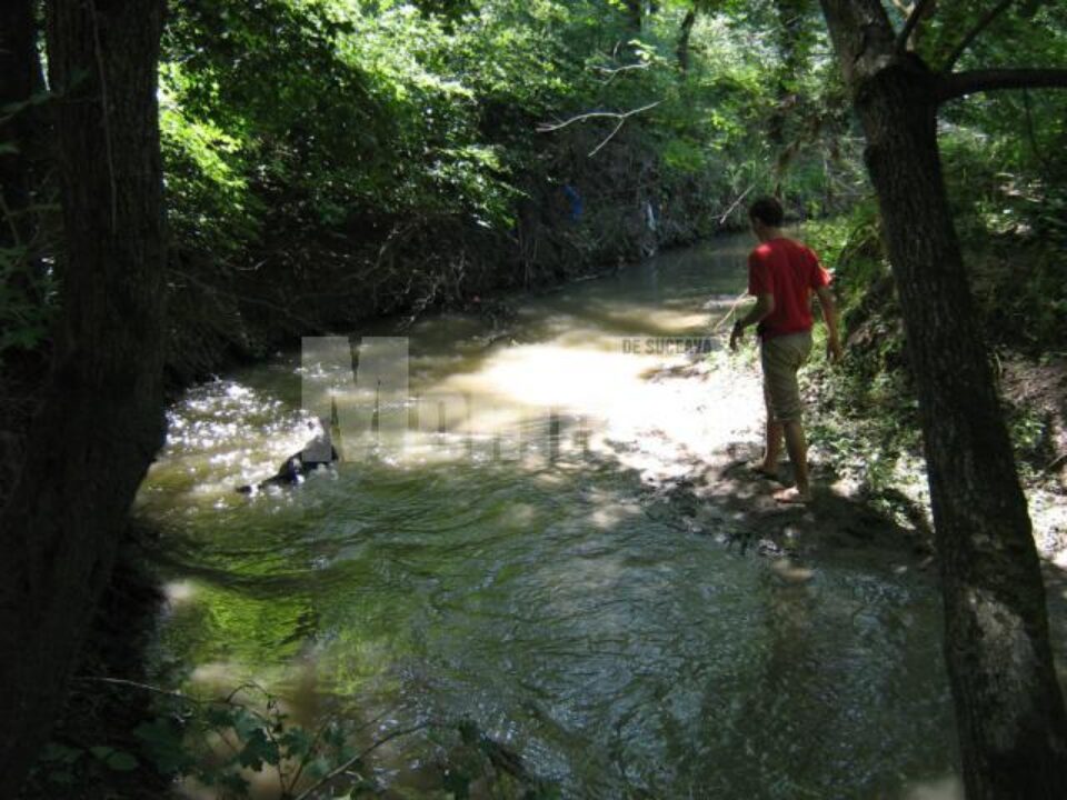 Direcția de Sănătate Publică (DSP) Suceava recomandă sucevenilor să evite scăldatul în locuri neamenjate în aceste zile caniculare