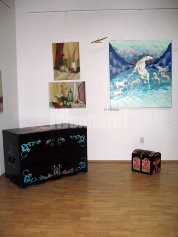 Secvențe din expoziția Absolvent Art 2012