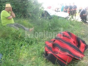 Grigore Pitu s-a aflat în apropierea celor doua femei, la umbra teiului, din păcate soția sa fiind omorâtă pe loc