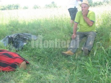 Grigore Pitu s-a aflat în apropierea celor doua femei, la umbra teiului, din păcate soția sa fiind omorâtă pe loc