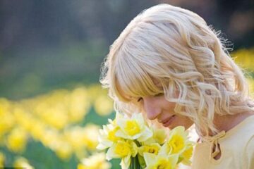 Narcisele ar putea trata depresia. Foto: ALAMY
