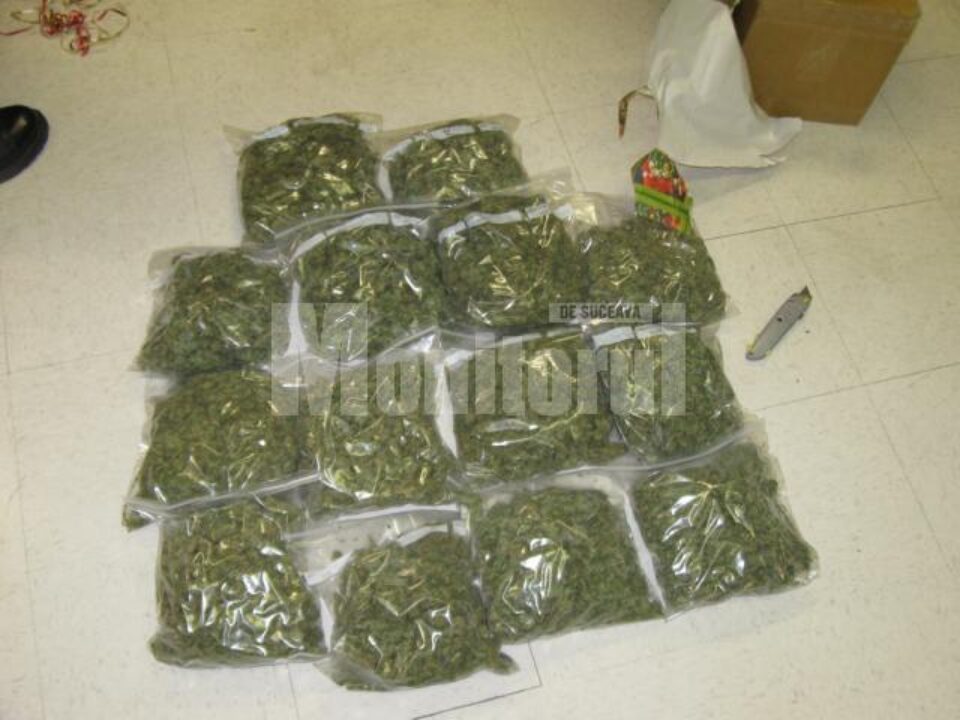 Dealerii vindeau cannabis, rezină de cannabis și comprimate de ecstasy