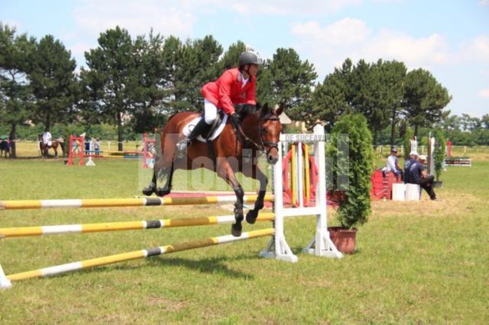 Cai de rasă din toată țara participă la curse cu obstacole pe Hipodromul Rădăuți