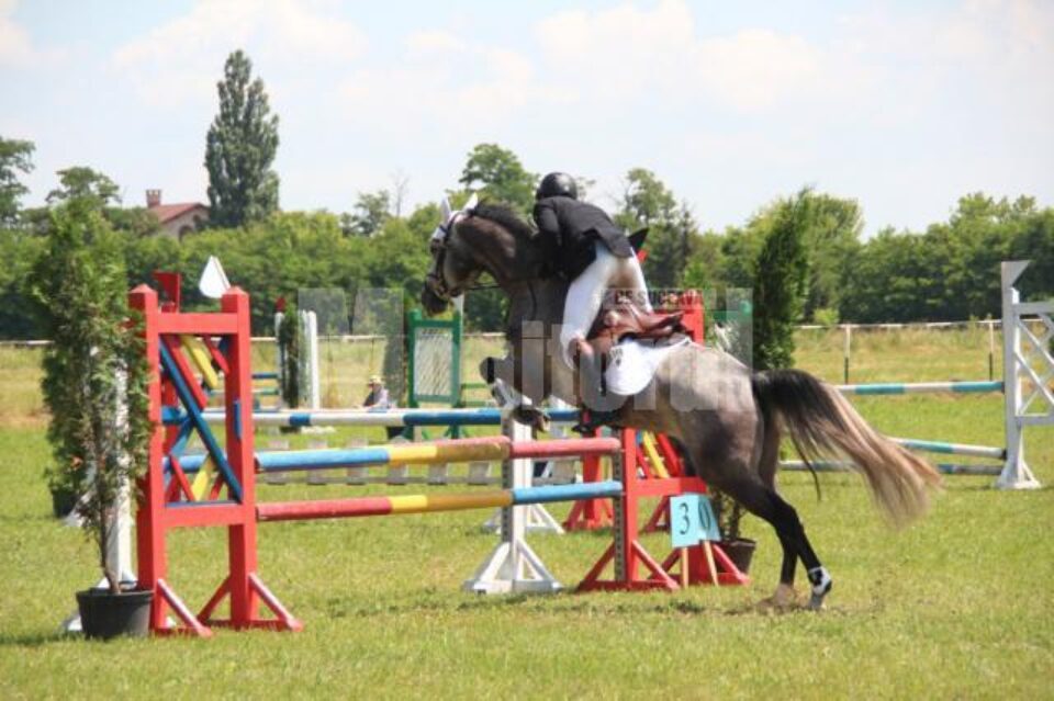 Cai de rasă din toată țara participă la curse cu obstacole pe Hipodromul Rădăuți