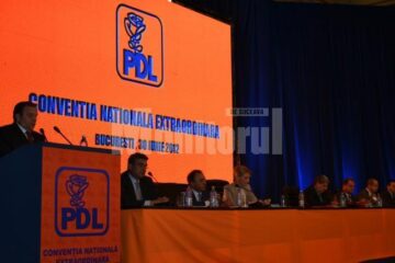 Funcții pentru Flutur și Bălan în noua conducere centrală a PDL