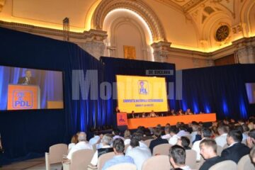 Funcții pentru Flutur și Bălan în noua conducere centrală a PDL
