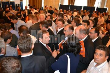 Funcții pentru Flutur și Bălan în noua conducere centrală a PDL