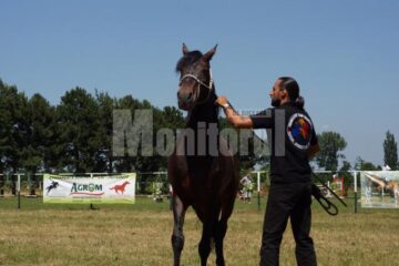 Denis Ștefan a făcut la Rădăuți o impresionantă demonstrație de tras cu arcul din goana calului