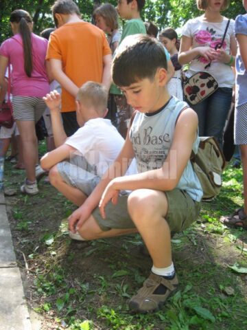 Primele lucruri interesante apar chiar din prima zi
