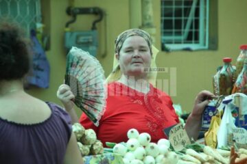 Un evantai binevenit pe caniculă