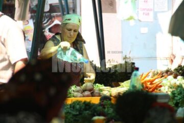 Maria Antoneac stropește legumele cu apă