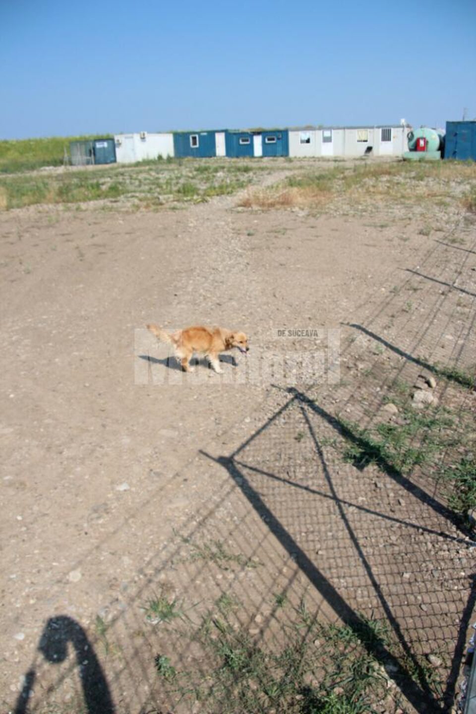 Groapa ecologică de gunoi, investiție demarată în urmă cu câțiva ani, se dovedește peste puterile autorităților locale