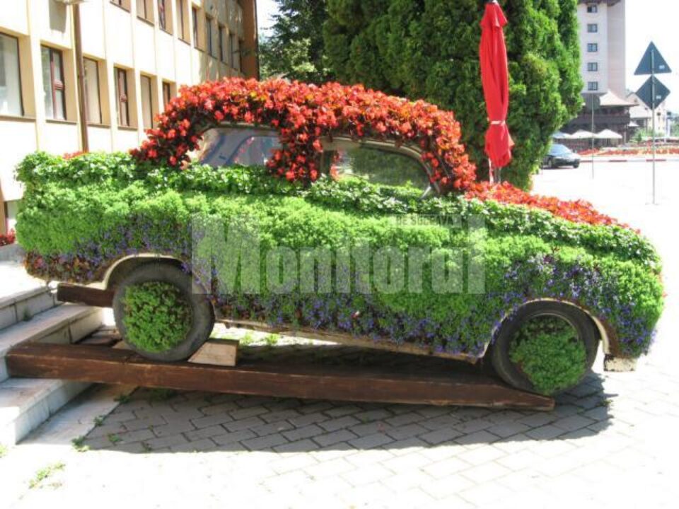 Trabantul înflorit