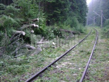 Trenuri blocate de zeci de copaci rupți, din cauza unei furtuni violente