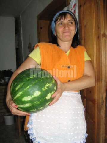 Anișoara Ciumașu