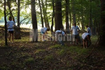 Sportivii Bucovina Fight Team au strâns gunoaiele de la liziera pădurii Ilișești
