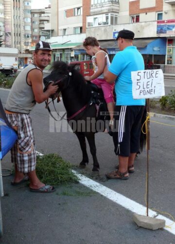Cinci zile de muzică și distracție la Zilele Municipiului Fălticeni