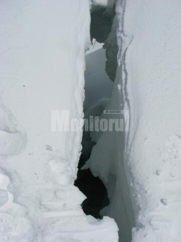 Ultima aventură a membrilor Academiei „Pământul Viu” a avut loc luna aceasta în Alpii Italieni și în Alpii Elvețieni