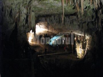 Ultima aventură a membrilor Academiei „Pământul Viu” a avut loc luna aceasta în Alpii Italieni și în Alpii Elvețieni