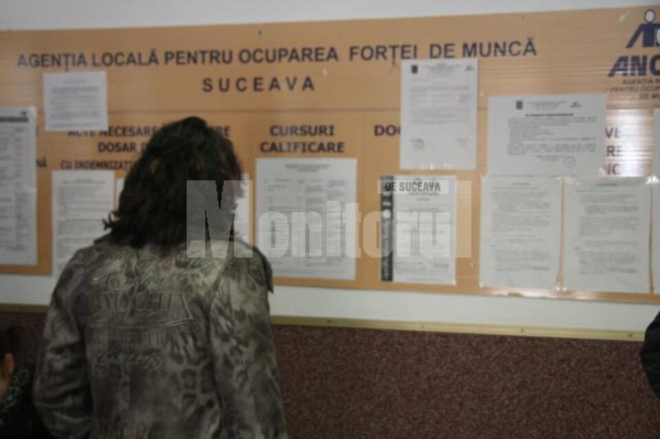 În oferta de locuri de muncă a AJOFM se găsesc puține posturi care ar putea fi ocupate de tineri