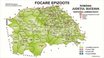 Focare epizootii în 2012