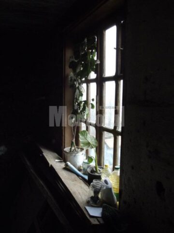 Între pereții crăpați, cinci suflete, patru copii și mama lor, încearcă să supraviețuiască