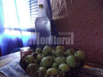 Între pereții crăpați, cinci suflete, patru copii și mama lor, încearcă să supraviețuiască