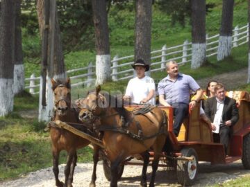 Comoara de la Lucina, patria calului huțul