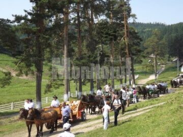 Comoara de la Lucina, patria calului huțul