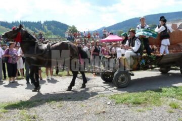 Între 15 și 19 august 2012, la Ciocănești se desfășoară Zilele Comunei și cea de-a IX-a ediție a Festivalului Național al Păstrăvului