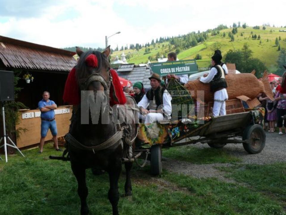 Între 15 și 19 august 2012, la Ciocănești se desfășoară Zilele Comunei și cea de-a IX-a ediție a Festivalului Național al Păstrăvului