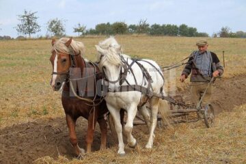 „Lucrarea pământului”