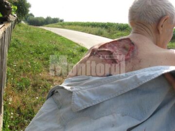 Bătrânul are o rană pe spate sângerânda și plină de puroi