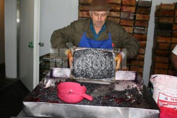 Mihai Chiriac lucrează de 37 de ani în centrul de la Sadova