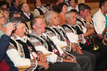 Public din Suceava