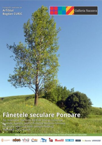 Unde fugim de-acasă...