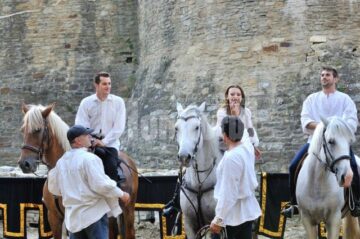 Festivalul de Artă Medievală de la Suceava
