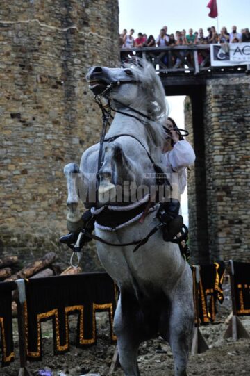Festivalul de Artă Medievală de la Suceava