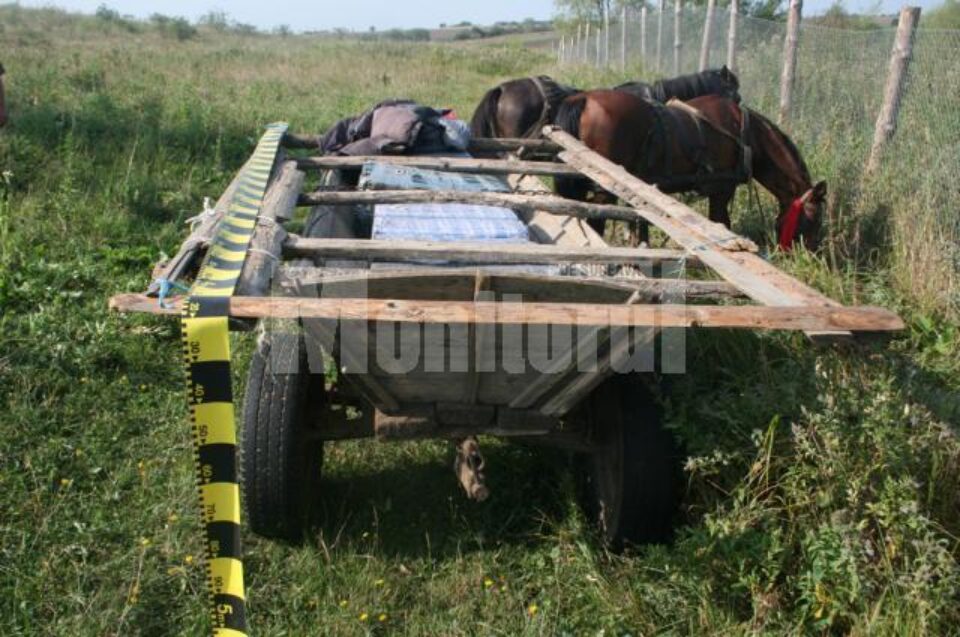 În coșul atelajului hipo se aflau 11.180 de pachete cu țigări de proveniență ucraineană, în valoare de 89.500 de lei