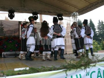 Ansamblul „Brădulețul”