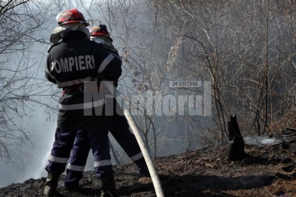 Pompierii au fost solicitați să intervină la diferite misiuni: de la incendii, la salvări de animale, persoane blocate în casă,