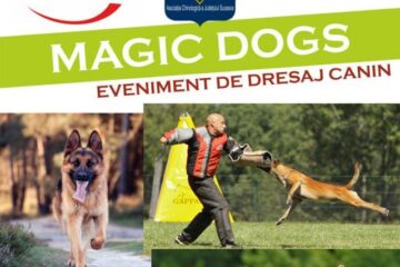 Demonstrații de dresaj canin, în parcarea Shopping City Suceava