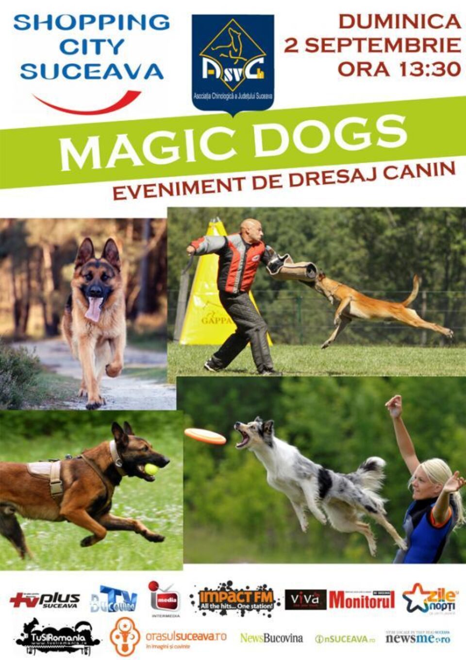 Demonstrații de dresaj canin, în parcarea Shopping City Suceava