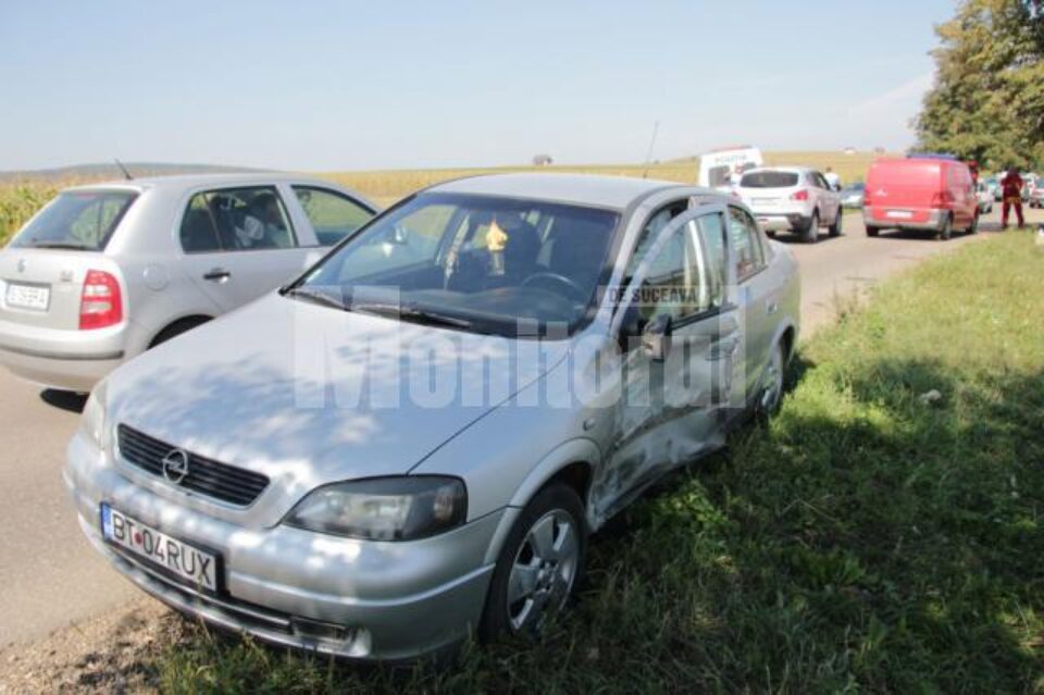 Autoturismul de Botoșani