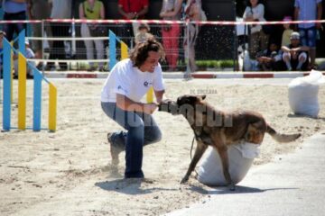 Demonstrația de dresaj canin de la Shopping City Suceava