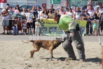 Demonstrația de dresaj canin de la Shopping City Suceava