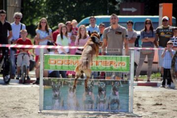 Demonstrația de dresaj canin de la Shopping City Suceava