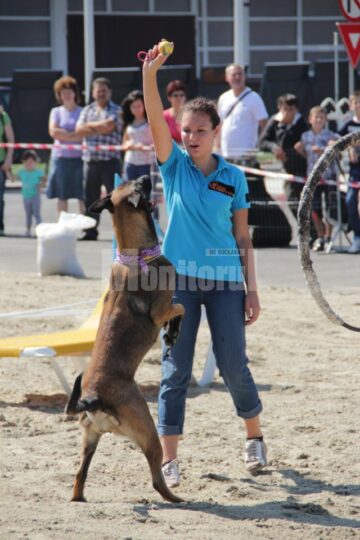 Demonstrația de dresaj canin de la Shopping City Suceava