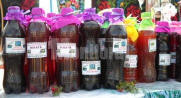 Festivalul Fructelor de Pădure, la Coșna